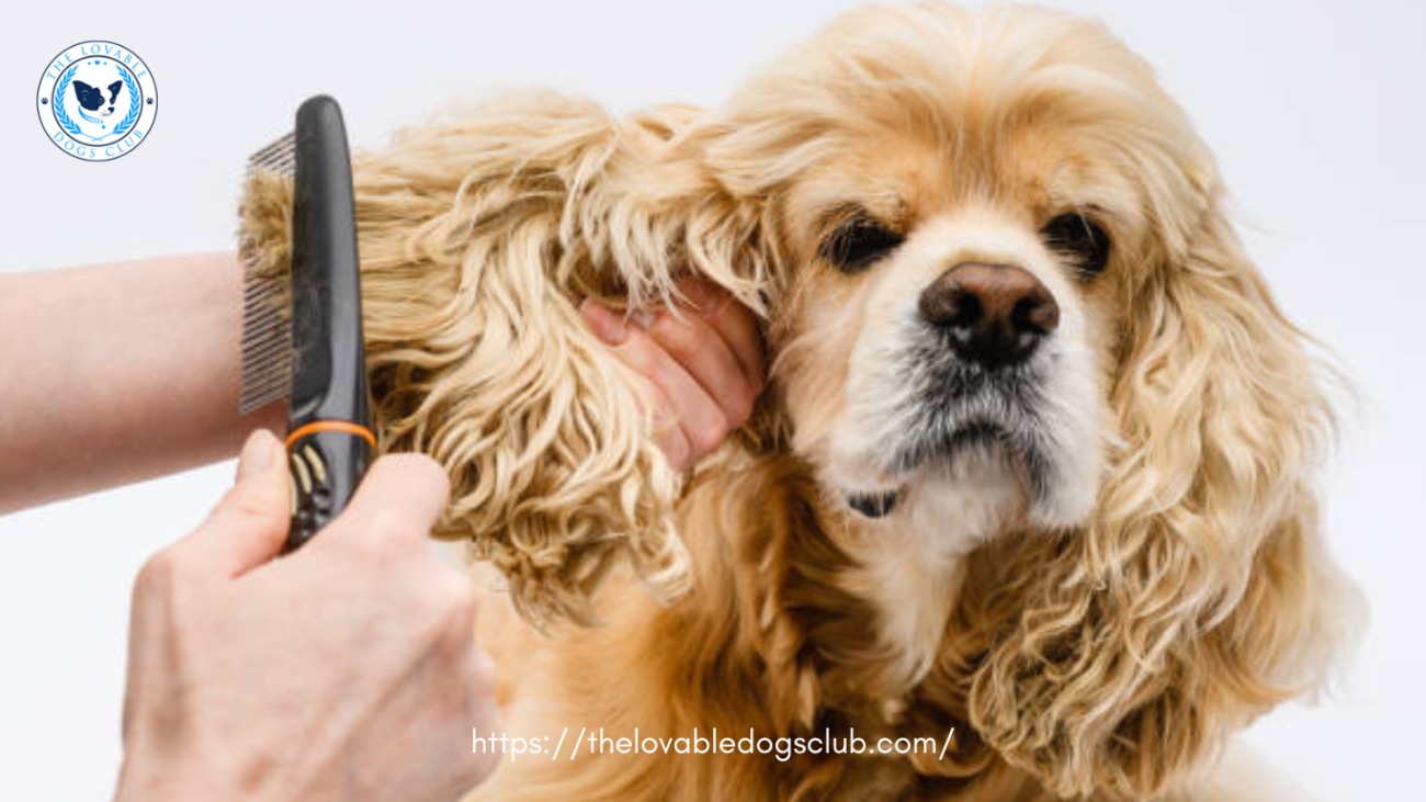 Reasons Your Dog May Be Losing Hair