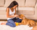 Whats the Difference Between Dog Sitting and Dog Boarding?