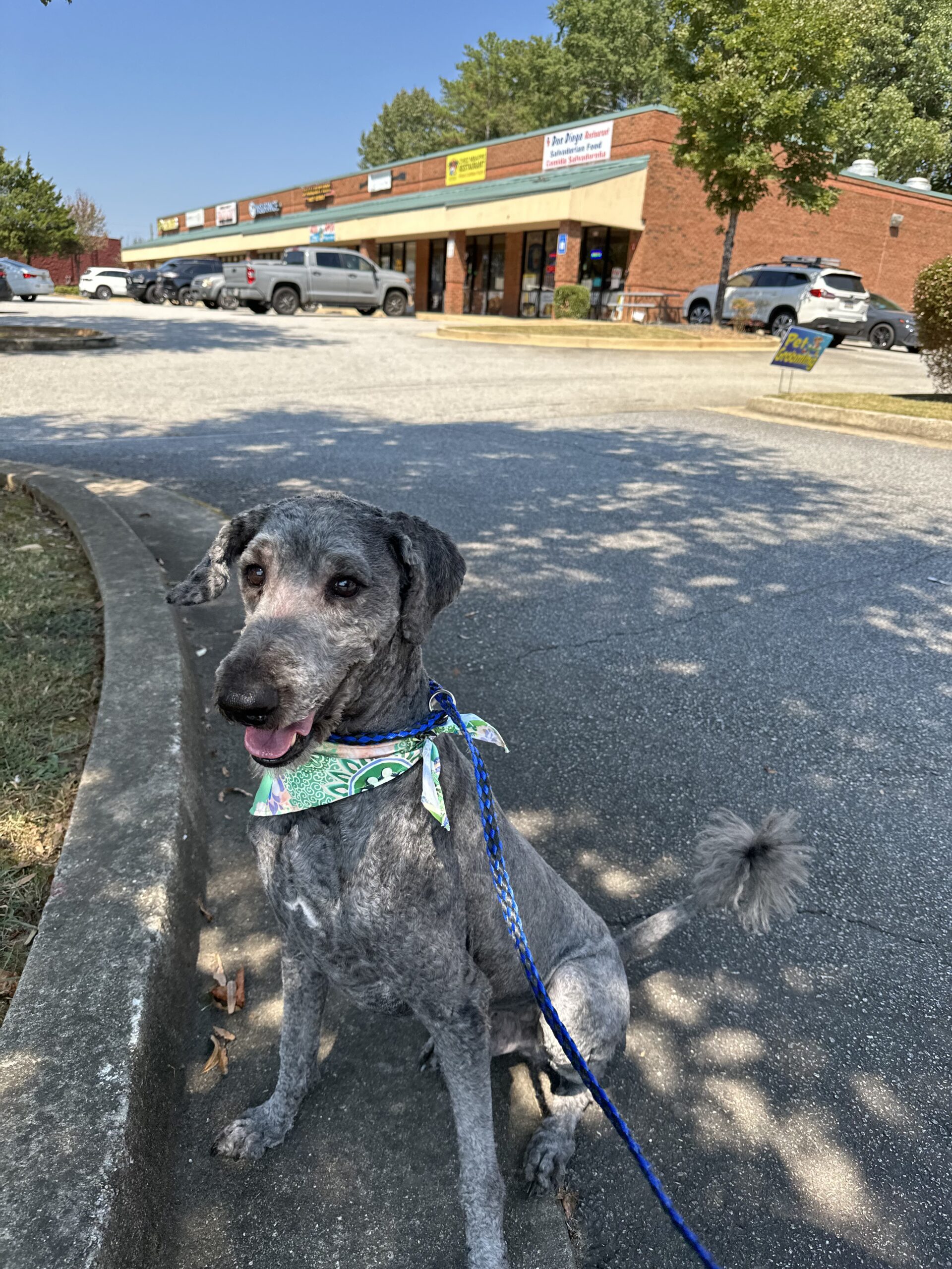 77973421067__394778CB-154B-489F-A1DD-636BCC6CD712